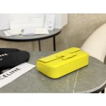 CELINE Embossed Arc de Triomphe Underarm Bag Model: 199243