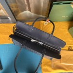 GOYARD Hardy Small Commuter Package W20