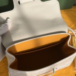 GOYARD mini Saigon 西贡W15