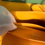 GOYARD mini Saigon 西贡W15