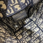 DIOR latest messenger bag