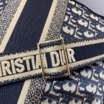 DIOR latest messenger bag