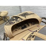 Dior Star Embroidery Pattern Saddle Bag 3351