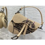 Dior Star Embroidery Pattern Saddle Bag 3351
