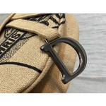 Dior Star Embroidery Pattern Saddle Bag 3351