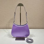 Prada's new 1BC169 embroidery