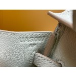 Birkin 25 Glacier White Togo Skin Rose Gold Buckle