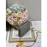 Dior Caro Zip Clutch3102