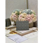 Dior Caro Zip Clutch3102