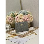 Dior Caro Zip Clutch3102