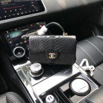 CHANEL model 24313mini cover bag
