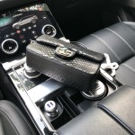 CHANEL model 24313mini cover bag