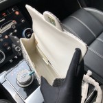 CHANEL model 24313mini cover bag