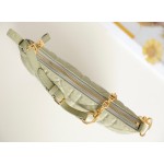 Dior Mini Tulip bag gray green