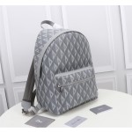 Dior Rider Backpack Model: 1ESBA088 (Grey Cowhide)