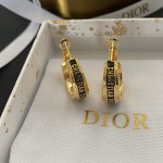 Dior earrings