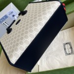 GUCCI Tote Bag Model: 703256