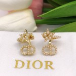 Dior earrings