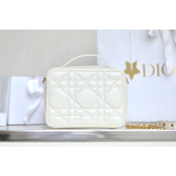 Dior box camera bag