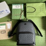 GUCCI Interlocking Double G Backpack Model: 704017
