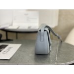 CELINE Embossed Half Moon Saddle Model: 111233