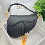 Dior saddle palm print collection