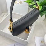 Dior saddle palm print collection