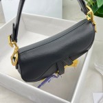 Dior saddle palm print collection