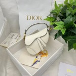Dior saddle palm print collection