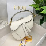 Dior saddle palm print collection
