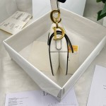 Dior saddle palm print collection