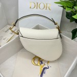 Dior saddle palm print collection