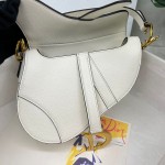 Dior saddle palm print collection