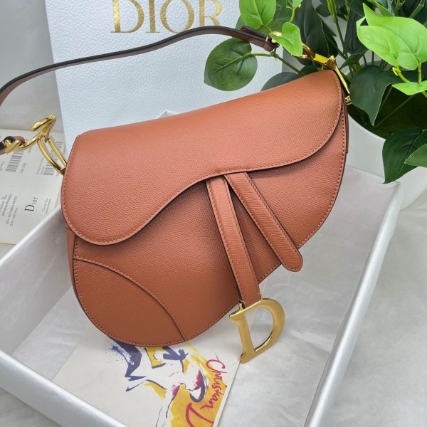 Dior saddle palm print collection