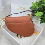 Dior saddle palm print collection