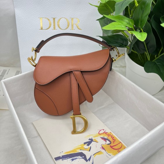 Dior saddle palm print collection