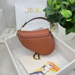 Dior saddle palm print collection