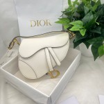Dior saddle palm print collection