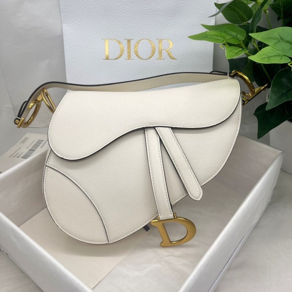 Dior saddle palm print collection