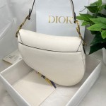 Dior saddle palm print collection