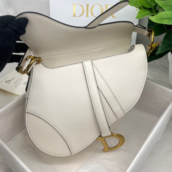 Dior saddle palm print collection