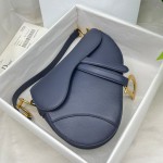 Dior saddle palm print collection