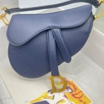 Dior saddle palm print collection