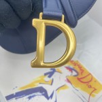 Dior saddle palm print collection