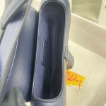 Dior saddle palm print collection