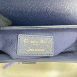 Dior saddle palm print collection