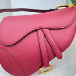 Dior saddle palm print collection