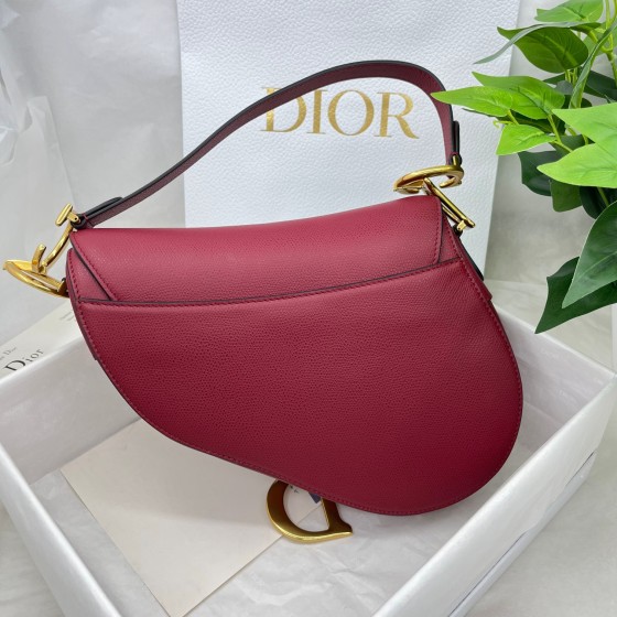 Dior saddle palm print collection