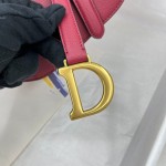 Dior saddle palm print collection