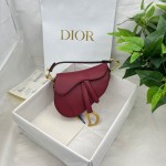 Dior saddle palm print collection
